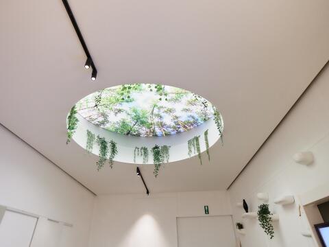 Beprint lichtplafond showroom Prof Projects